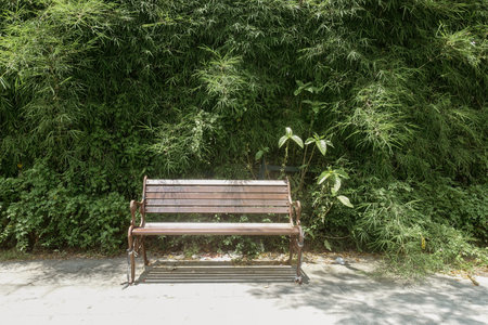 Bench in the park with bamboo wall and green leaves background, stock photo