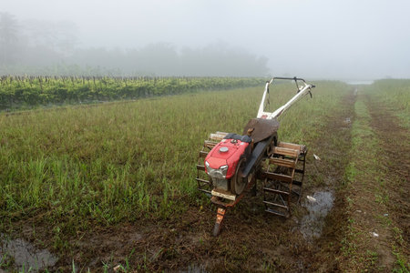 Agricultural machinery in a rice field on a foggy dayの写真素材
