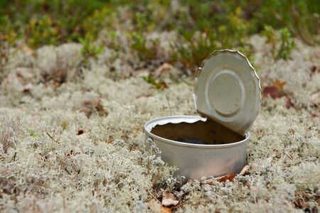 Empty open can as garbage on reindeer moss の写真素材