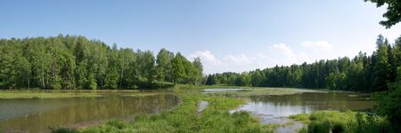 View down the valley of the river (Moscow region, Russia) in sunny summer day  