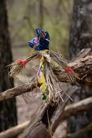 Straw doll on a treeの写真素材