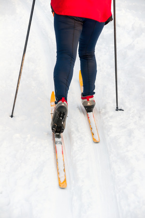 Woman cross country skier on sunny dayの写真素材