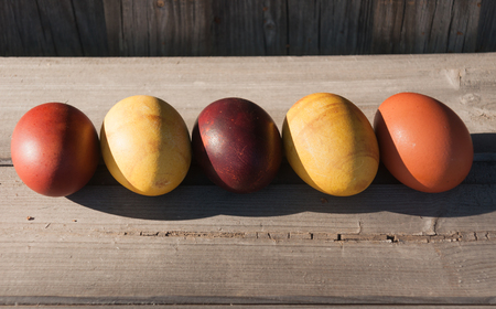 Painted Easter eggs on wooden boardsの写真素材