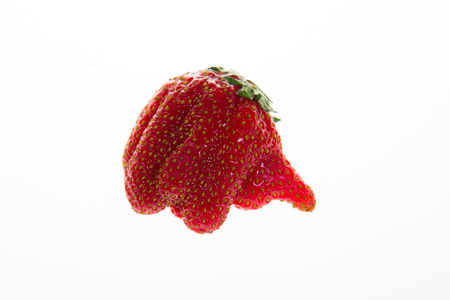 Unusual shape of strawberry on white backgroundの写真素材