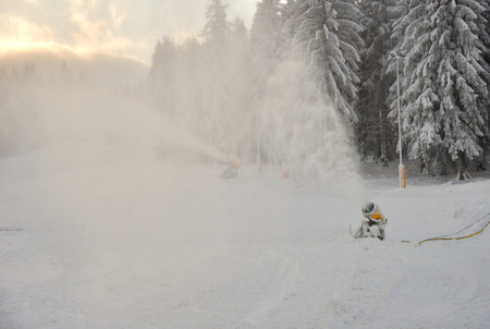 Slopes at forest in winter forestの写真素材