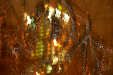 Icy tree branch under street lamp in winter night