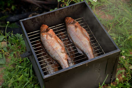 Cooking smoked European bass (Dicentrarchus labrax) fish outdoorの写真素材