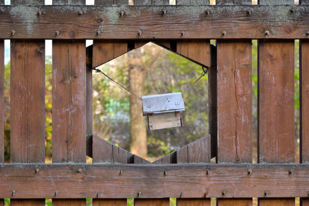 Bird feeder in wooden fence openingの写真素材