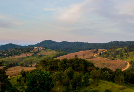 View of big mountain and green tree and dry meadow with blue sky and cloudy.の写真素材