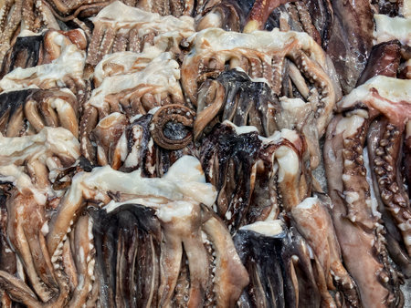 Fresh squid background from a grocery store.の写真素材