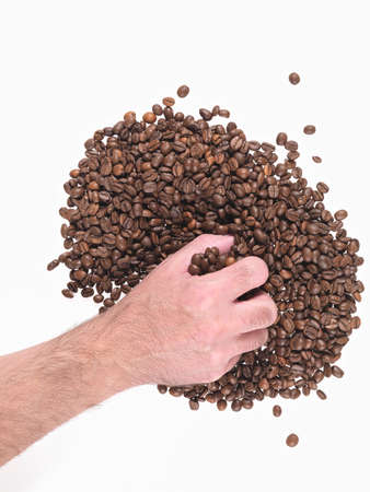 man takes a handful of coffee beans Placed above a white backgroundの写真素材
