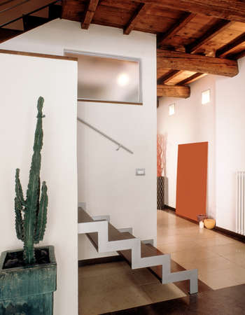 interiors shots of a modern living room in the foreground the vase with a Euphotbia Igens and the a iron staircaseの写真素材