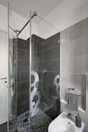 interior shot of a modern bathroom in foreground the glass shower box  and the bidet, the walls are coated in tilesの写真素材