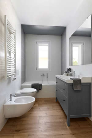 interior shots of a modern bathroom whose floor is made of wood in the foreground the sink cabimet and the bidet, in the background the bathtubの写真素材
