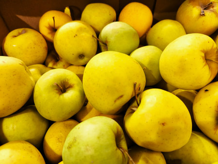 A dense collection of freshly picked ripe yellow and slight green apples piled high in a box ready for consumersの写真素材