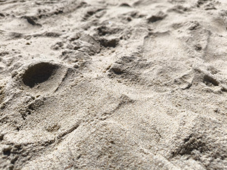 Macro View of Fine Grains of Natural Beach Sand Textureの写真素材
