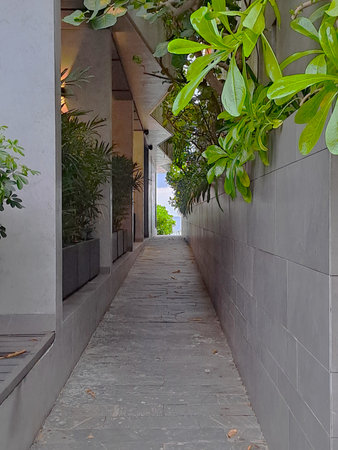 Perspective view through a clean grey tiled hallway with lush tropical vegetation hanging from the sides leading towards lightの写真素材