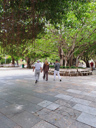 People walking under large tropical trees in a public city park