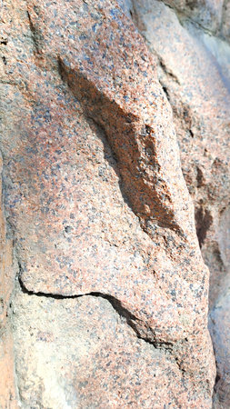 close up of a stone in the natural environment, note shallow depth of field