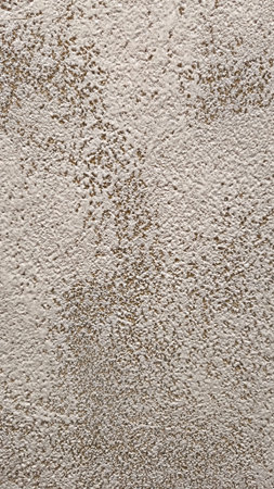 Macro shot of a textured architectural surface showing detailed grain and rough structural patterns...