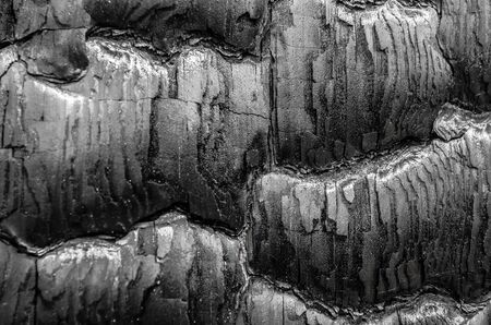 Burnt wood texture a near, close upの写真素材