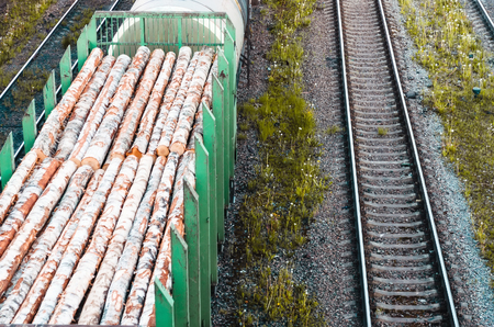 Railway wagon and timber forest trunksの写真素材