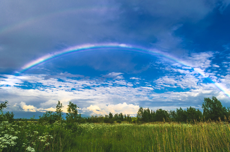 Rainbow in the sky over fields and forests after rainの写真素材