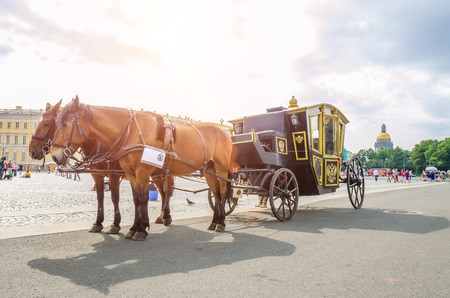 Horses with a carriage on the Palace Square. Russia, Saint-Petersburg. August 17, 2017のeditorial素材