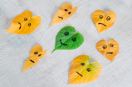 The yellow and green leaves of the smiley face in the shape of a heart lie on a wooden texture table. The concept of contrast, the change of seasons.の写真素材