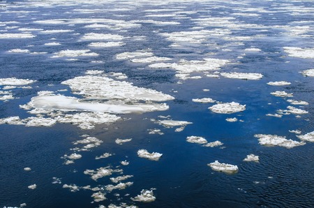 Ice floes float in the blue water in winterの写真素材