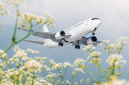 Passenger commercial airplane flies over flower fields at the airportの写真素材