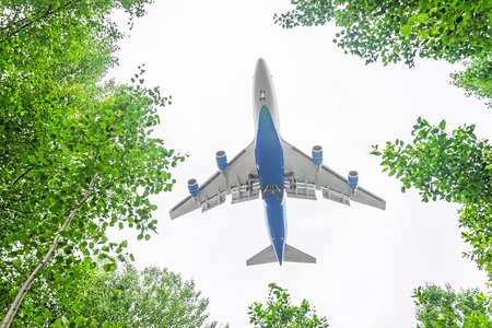 Passenger aircraft approach to landing above leaves, view from the of the forest treesの写真素材