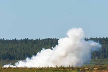 White smoke from a beginning forest fire in the grassの写真素材