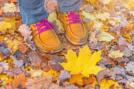 Concept-autumn is coming. Boots of red yellow color with bright laces in the autumn foliage, maple leafの写真素材