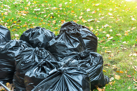 Black trash bags in the park in early autumnの写真素材
