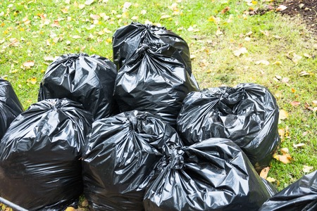 Black trash bags in the park in early autumnの写真素材