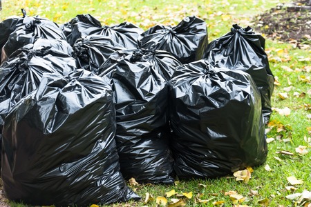 Black trash bags in the park in early autumnの写真素材