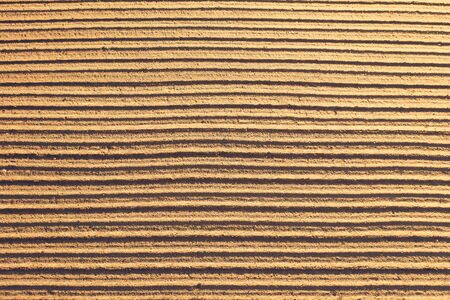 Top Aerial view of furrows row pattern in a plowed field prepared for planting crops in spring. Growing wheat crop in springtime. Aerial view of harvest fields in Lithuaniaの写真素材