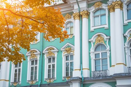 Windows and columns of the Hermitage of the Winter Palace with autumn mapleの写真素材