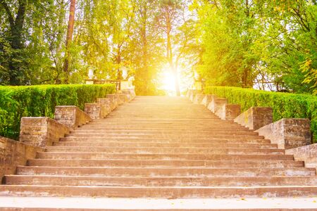 Wide staircase looking up in the park with bright lightの写真素材