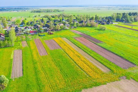 Bird's-eye view of a summer rural village landscape country with blooming fields of flowers and...