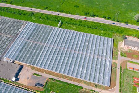 Large greenhouse agriculture for growing vegetable plants, aerial drone viewの写真素材