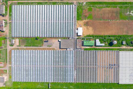 Top aerial view over large greenhouses for growing vegetable and flower cropsの写真素材