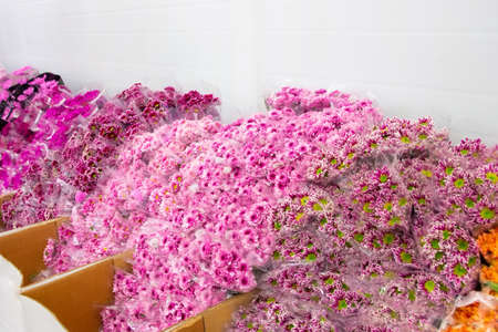 Boxes with various varieties of bouquets of flowers in the wholesale warehouses of the plant and flower manufacturerの写真素材