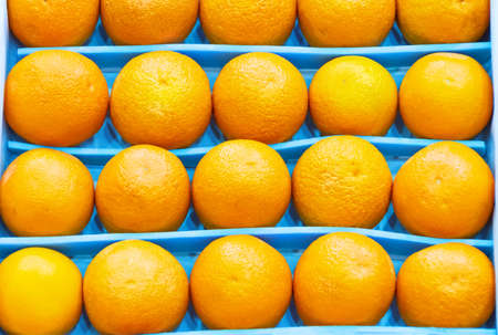 Fresh bright oranges neatly in a row laid out in a box on the market in a supermarket counter