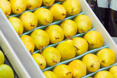 Pears are laid out neatly in a row in a drawer on a supermarket counter