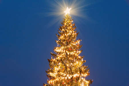 Christmas tree with a bright star on top of the head in the evening on the outside streetの写真素材