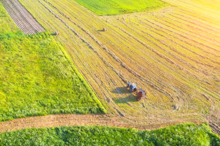 Farmer stores fodder for cattle in summer season. Aerial view on a tractor that collects hay in rows with a disc rakeの写真素材