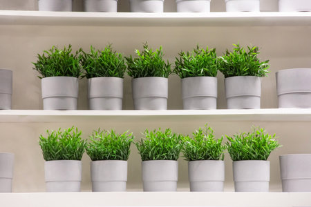Artificial plants made of plastic in gray pots lined up on two shelves attached to the wallの写真素材