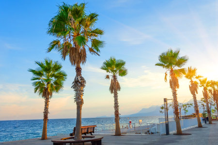 The coast with the promenade and the beach with Washingtonia palm trees in the evening at sunset in the background beautiful mountainsの写真素材